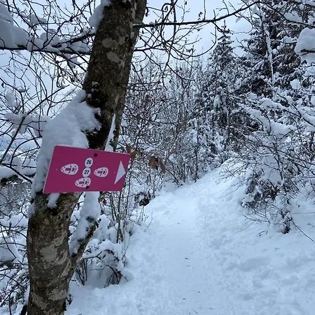 Chalet Soleya